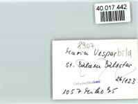 86473 W8907 Maria Vesperbild FOTO KEINE AK St. Klara Kloster