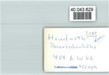 34549 W3593 Hemfurth FOTO KEINE AK Dornröschenhöhe
