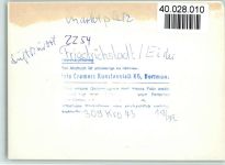 25840 W2254 Friedrichstadt , Eider FOTO KEINE AK Marktplatz