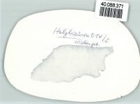 32361 W4994 Holzhausen , Kr Lübbecke, Westf FOTO KEINE AK Kurhaus Holsing
