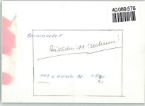 69245 W6919 Bammental FOTO KEINE AK Ortsansicht