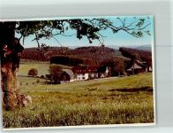 57319 W5920 Bad Berleburg FOTO KEINE AK Hof Teiche Wittgensteiner Schweiz