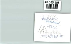 49401 W2845 Damme , Dümmer FOTO KEINE AK Autobahnraststätte