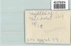 54655 W5524 Kyllburg FOTO KEINE AK Kurhotel