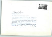 59964 W5789 Dreislar FOTO KEINE AK Ortsansicht
