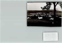 92539 W8476 Schönsee FOTO KEINE AK Ortsansicht