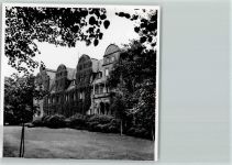 31655 W3060 Stadthagen - Weinlaub bedeckt die Häuserfassaden Foto 11 x 14 cm