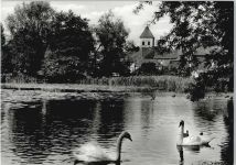 46514 W4235 Schermbeck , Niederrhein