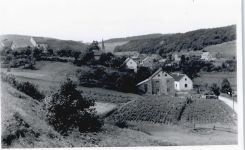 54579 W5538 Niederehe - Foto