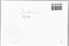54579 W5538 Niederehe - Foto