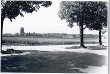 65428 W6090 Rüsselsheim - Foto Baum Feld Haus