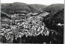 75323 W7547 Calmbach