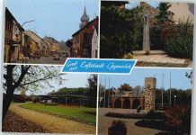50374 W5042 Gymnich