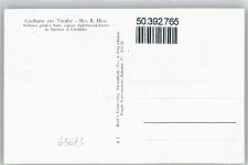63683 W6474 Bleichenbach , Hess - Gasthaus zur Traube