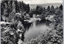 95509 W8581 Marktschorgast - Goldbergsee