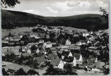 72270 W7292 Klosterreichenbach - Panorama Berg