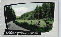 51580 W5226 Wildbergerhütte - Aubachtal