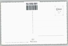 59929 W5790 Brilon-Wald - Haus Hoheneimberg, Wald