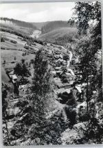 98746 O6424 Katzhütte - Gesamtansicht