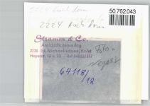 25712 W2224 Hochdonn FOTO KEINE AK Foto mit Negativ
