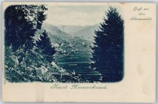 79837 W7821 Menzenschwand - Teilansicht