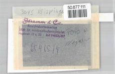 29646 W3045 Bispingen - Foto mit Negativ, Pension Waldesruh