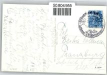38877 O3702 Benneckenstein - Kuh, Morgenaustrieb