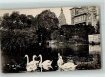 Ottensee Odense 1907 - Albanibro Schwäne