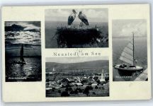 7100 Neusiedl am See - Storch, Segelboot, Abendstimmung