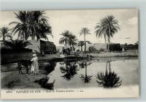 Oasis de Palmiers-Dattiers Esel Volkstypen / Brauchtum Tunesien