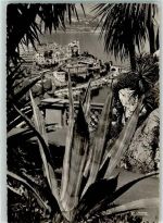 Monte Carlo