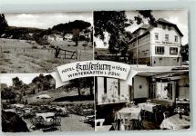 64658 W6145 Winterkasten Gebrauchsspuren Rückseite mit Abschürfungen und Kleberesten Hotel Kaiserturm H Tögel