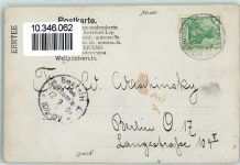 10115 W1000 Schmargendorf 1905 - Junge mit Farn Ort lt. Stempel