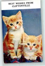 Cliftonville AK mit Leporello Katzen Leporello AK
