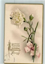 Nelke mit Schleife Glückwunsch zum Geburtstag Blume
