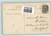 Rosen 1905 AK Blume