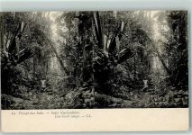 Jakarta Batavia Stereo AK