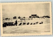 Aux Glaces Polaires - Le charriage du bois de chauffage - Polareis Brennholz aufladen Schlittenhunde Hundeschlitten