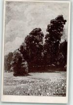 W7824 Hinterzarten Frühling im Schwarzwald Meisenbach Riffarth & Co. Nr.778 Dischler H. Künstlerkarte