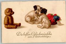 Geburtstag Welpen sind erschrocken Spielzeug Teddy