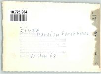 57339 W5927 Zinse FOTO KEINE AK Pension Forsthaus