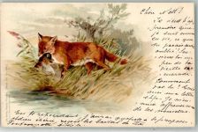 Lith. Artist. Anstalt Serie 44 No.18277 Fuchs 1899 Lithographie