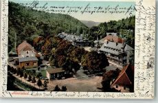 06493 O4301 Alexisbad 1903 - Ortsansicht