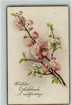 Geburtstag - Blütenzweig AK Blume 1919