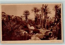 Tripolis - Campagna Araba