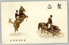 Die japanischen Rockyhill Highlander Reiter Reißnagelloch Dressur Gebrauchsspuren