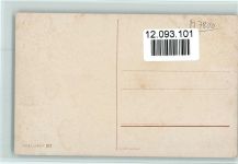 Vögel - Pfauenpaar ca 1908 Serie Peluba 263 AK Schönian, A. Künstlerkarte