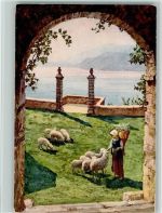Morcote Lago di Lugano Schaf