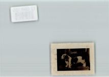 Vignette - Spaniel Spaniel