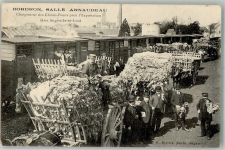 49000 Angers Foto AK Bahnhof Verladung Gemüse